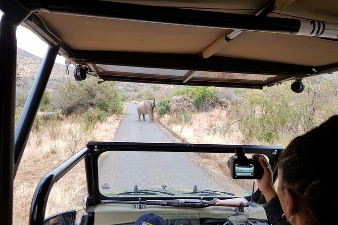 Pilanesberg National Park Safari From Johannesburg - Group Size and Accessibility