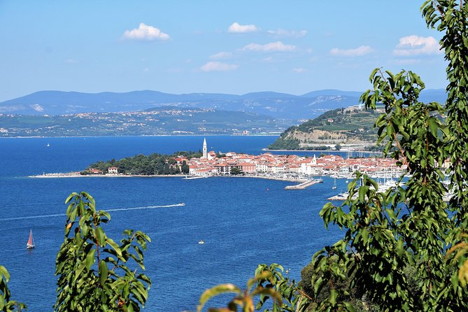 Piran & Panoramic Slovenian Coast - Shore Excursion From Trieste - Accessibility Features