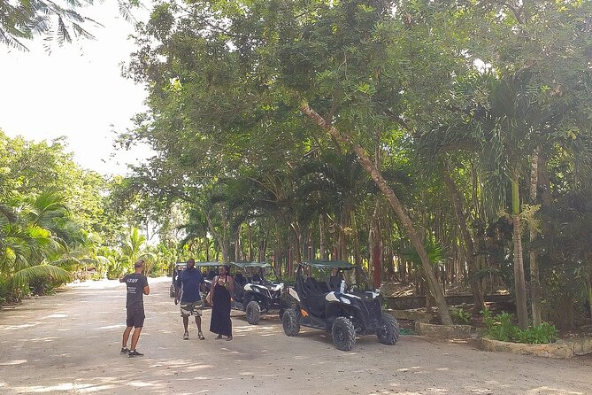 Playa Del Carmen Buggy Tour With Cenote Swim and Mayan Village Visit - Traveler Reviews and Feedback