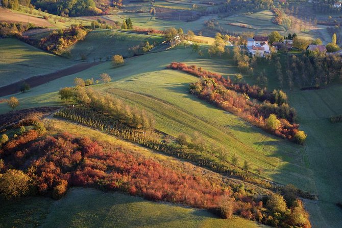 Plesivica Region Wine Tasting Half-day Tour - Accessibility and Age Policies