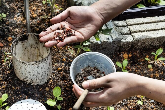 Pokhara: Organic Farm Tour and Cooking Class at Durku - Reviews and Traveler Feedback