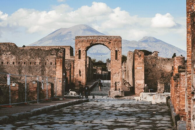 Pompeii: Entrance Ticket and Private Tour With a Historian - Highlights of Pompeii