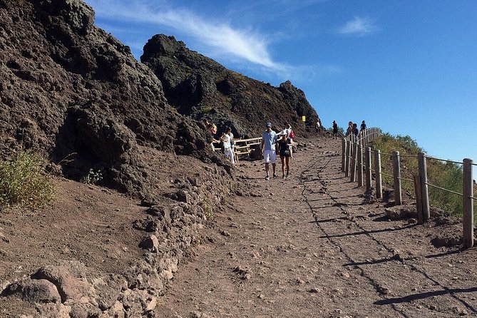Pompeii & Mount Vesuvius Private - Flexibility and Cancellation Policy