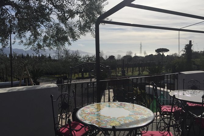 Pompeii-Wine Tasting Tour From Sorrento, Licensed Guide Included - Customer Support