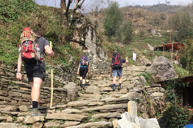 Poon Hill - Ghandruk Trek From Kathmandu - Trekking Support Services