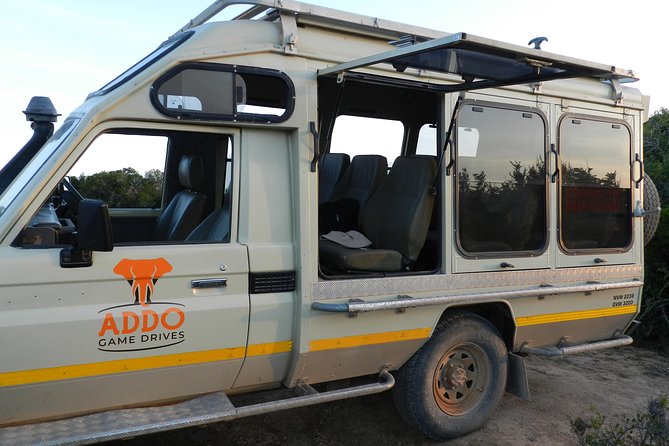 Port Elizabeth Shore Excursion: Addo Elephant Full Day Safari &BraaiLunch(BBQ) - Booking Information
