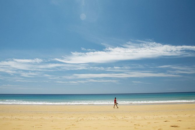 Porto Santo One-Day Cruise and Tour - Accessibility Information