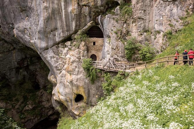 Postojna Cave and Castle Privat Tour From Koper, Trieste, Piran - Transportation and Accessibility