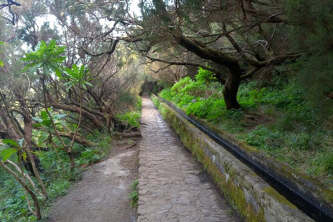 PR6 25 Fountains/Risco Guided Levada Walk and Transfer - Guided Hike and Transfer