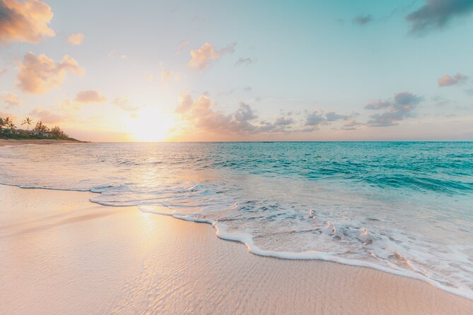 Praslin & La Digue (Shared Day Trip) - Highlights of the Trip
