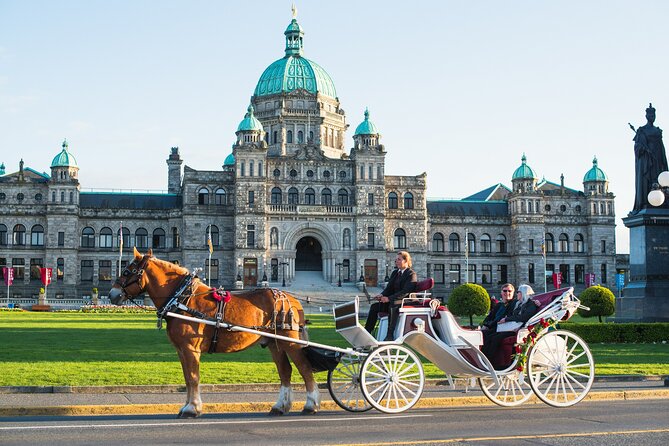 Premier Horse-Drawn Carriage Experience in Victoria - Accessibility and Mobility Considerations