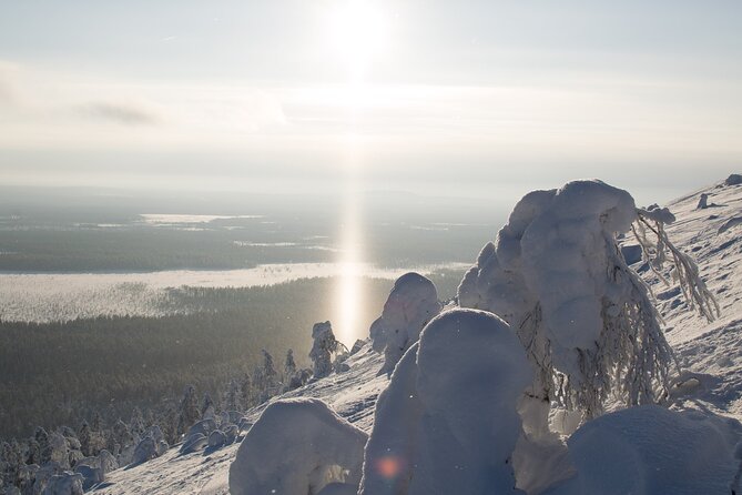 Premium Snowshoeing in Pyhä-Luosto National Park - Pricing and Booking