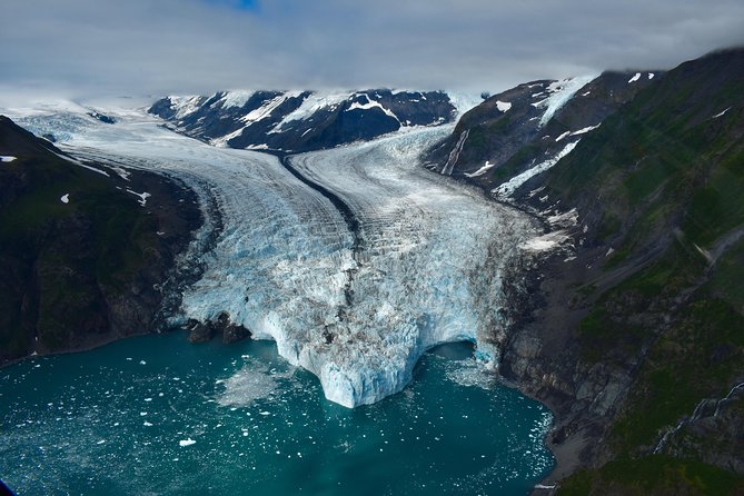 Prince William Sound Tour With Glacier Landing From Girdwood - Traveler Reviews and Experiences