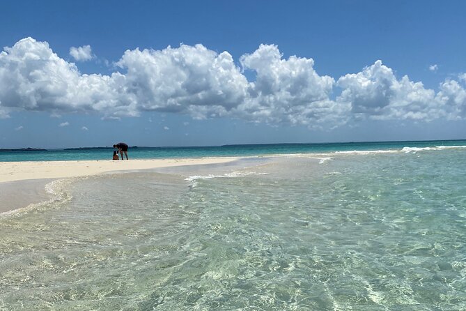 Prison Island + Nakupenda Tour - Reviews and Ratings