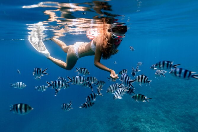 Private 1/2 Day Morning Charter Snorkel or Cruise on Shady Grady - Additional Details