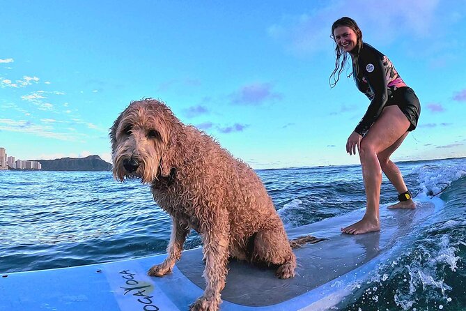 Private 1-On-1 Surf Lesson With Videos and Photos - Customer Reviews and Experiences