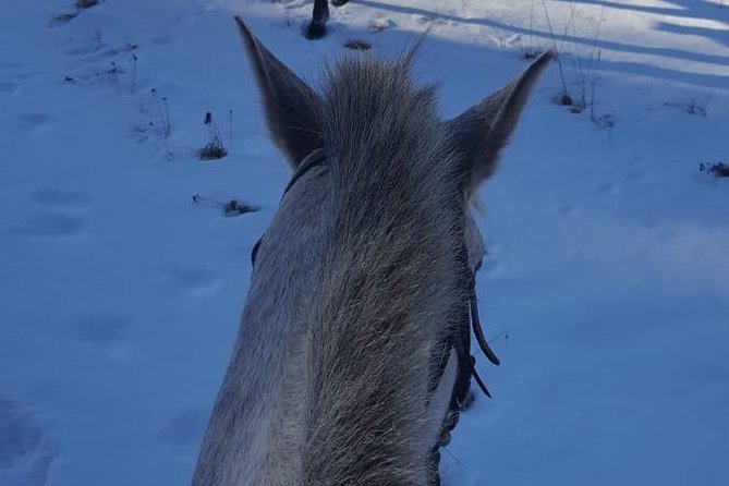 Private 2-Day Horseback Riding in Rhodope Mountains From Plovdiv - Trotting and Galloping Through Forests