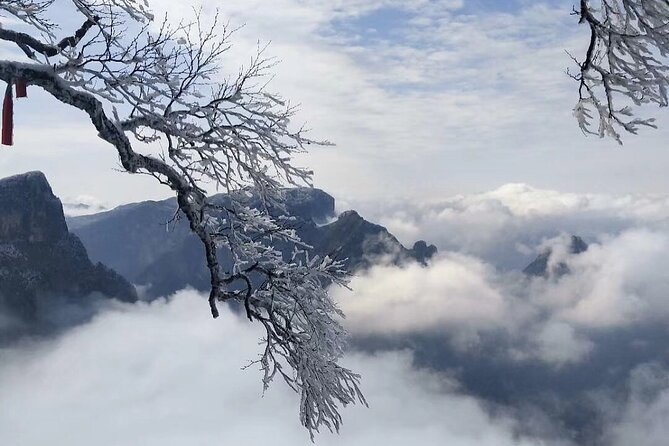 Private 2-Day Tour Combo Package: Zhangjiajie Avatar and Tianmen Mountain - Customer Reviews