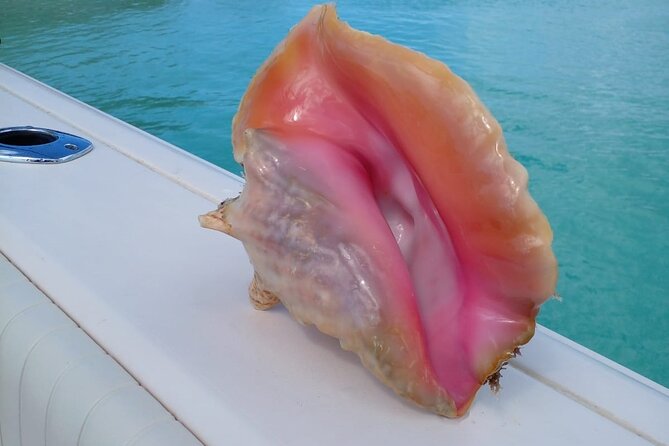Private 3/4 Day 6hr Fish, Snorkel & Cruise Charter on Shady Grady - Fishing Experiences