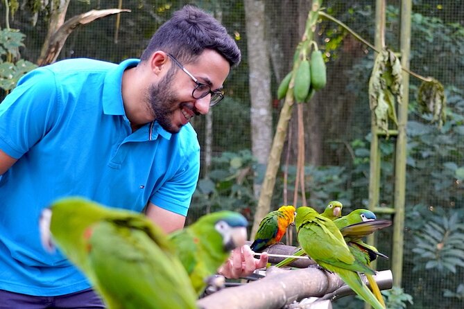 Private 3-Day Iguazu Falls Tour - Accessibility and Recommendations