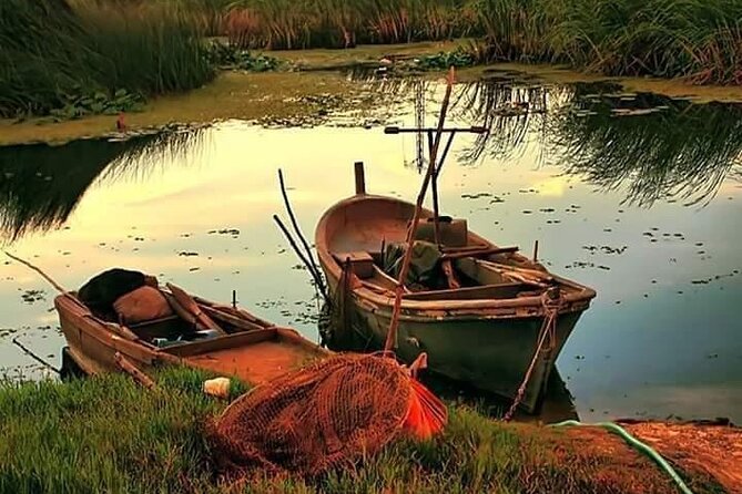 Private 3-Day Tour Danube Delta Birdwaching and Safari Experience From Bucharest - Transportation and Pickup Logistics