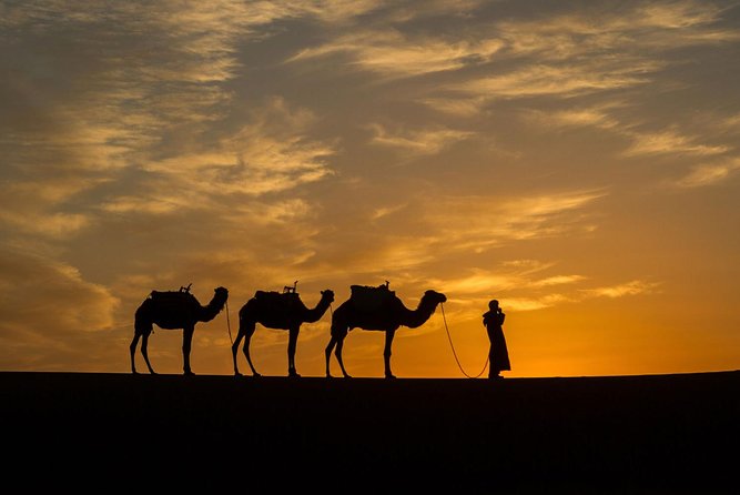 Private 3-Days Desert Tour From Zagora to Erg Chigaga Dunes & Camel Trek - Activities and Experiences