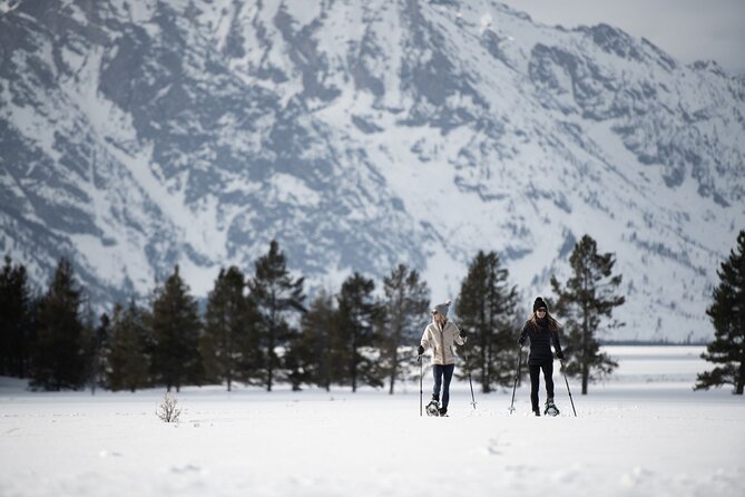 Private 4 Hour Snowshoe in Grand Teton National Park - What to Expect