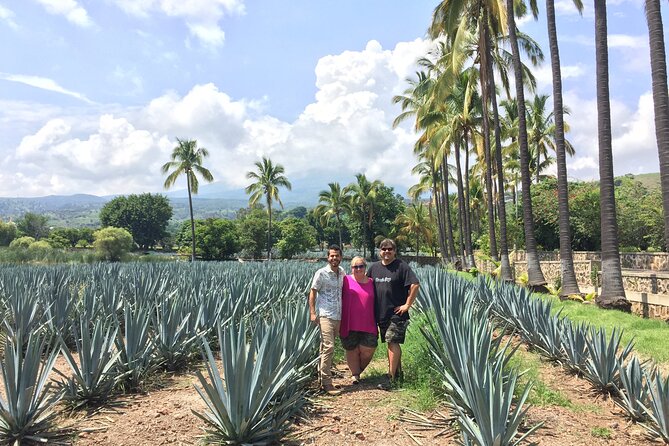Private 8-Hour Tour of Tequila and Guachimontones - Customer Feedback