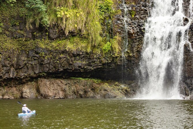Private - All Inclusive Big Island Waterfalls Tour - Accessibility Features