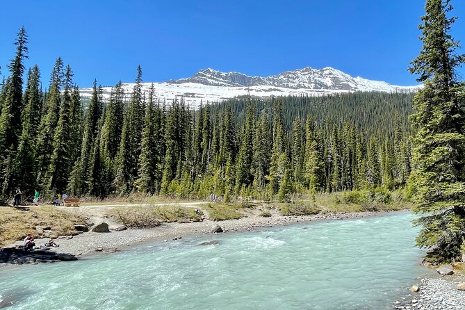 Private Banff and Yoho National Park Tour With Moraine Lake - Guide Performance and Customization