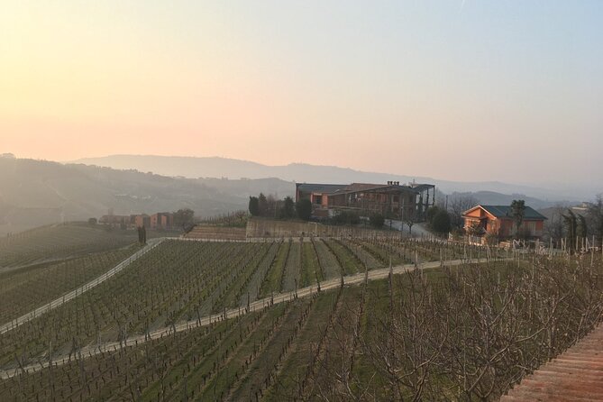 Private Barolo Wine Tour With Winemaker From Turin - Booking Process