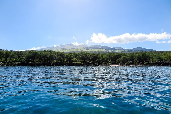 Private Beginner Paddleboard Lesson With Snorkel in Turtle Town! - Preparing for the Tour