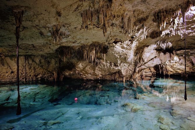 Private Cenote & Snorkeling Tour With Turtles in Akumal - Reviews and Feedback