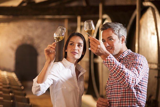 Private Chianti and Supertuscan Tour 2 Wineries With Light Lunch From Livorno - Tuscan Wine and Light Lunch