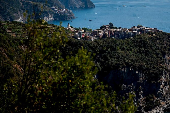 Private Cinque Terre Tour​ From Florence With Optional Hiking - Local Cuisine and Dining Experience