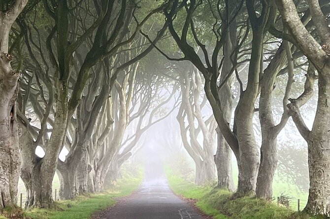 Private Coast Tour in Belfast - Itinerary and Customization
