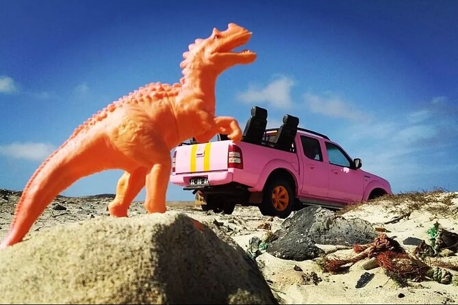 Private Creative Pictures Full Day Island Tour (Off Road Inc.) - Pricing Information