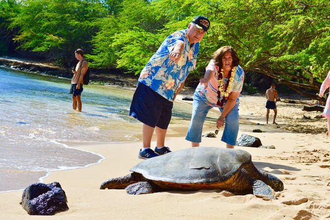 Private Customized Oahu Full Day Tour - Traveler Experience