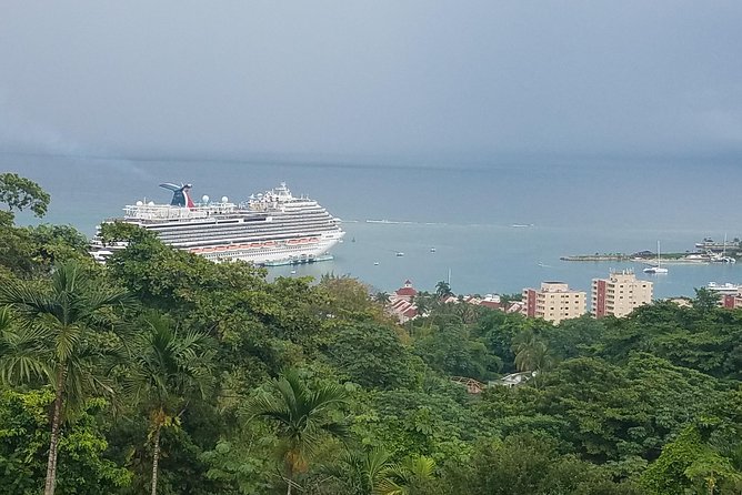 Private Customized Tour to Ocho Rios From Runaway Bay - Reviews