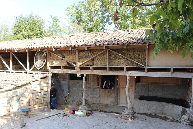 Private Day Horse Riding Trip to Sighnaghi With Lunch and Wine/Beer. - Hassle-Free Hotel Pickup Service
