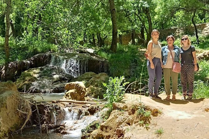 Private Day Tour From Fez to the Middle Atlas - Highlights of the Tour
