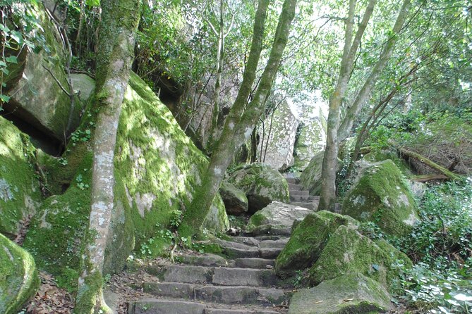 Private Day Tour From the Centre to the Highest Point in Sintra. - Physical Fitness Requirements