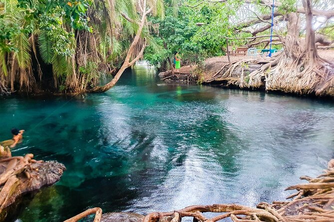 Private Day Tour in Serval Wildlife and Kikuletwa Hot Spring - Pickup and Booking Details