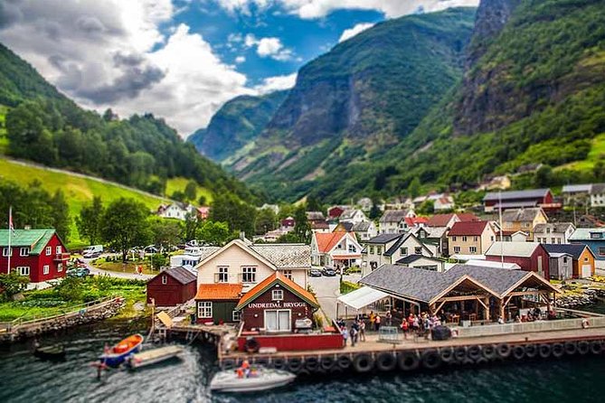 Private Day Tour - Nærøyfjord Cruise & Undredal House of Cheese - Local Specialties