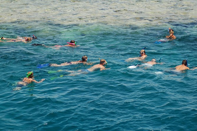 Private Day Tour of Ras Mohammed National Park With Snorkeling - Highlights of the Tour