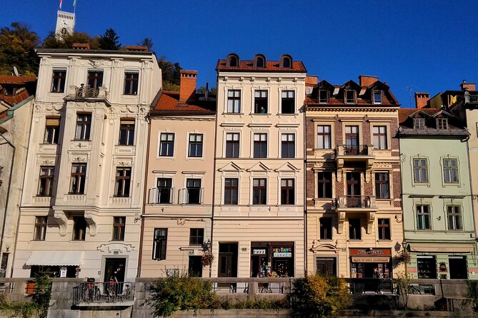 Private Day Tour to Ljubljana From the Slovenian Coast. - Experiencing the Central Market
