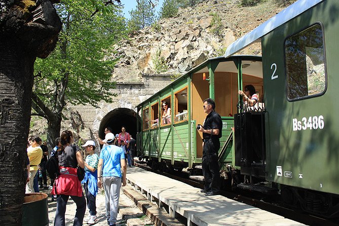 Private Day Tour to Mokra Gora, Sargan Eight Train and Drina River House - Sargan Eight Train