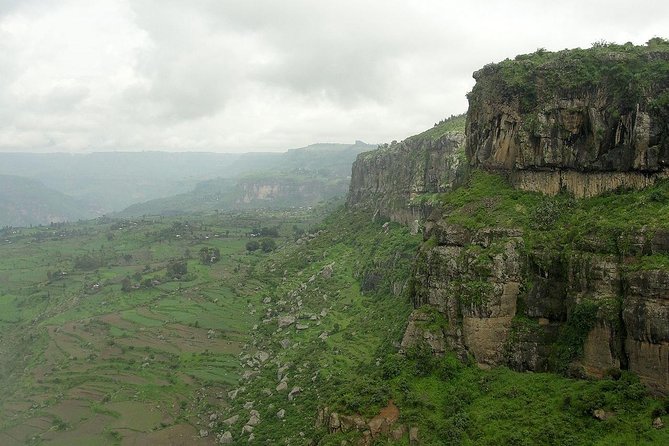 Private Day Trip to Debre Libanos Portuguese Bridge Galada Baboon - Highlights of the Tour Itinerary