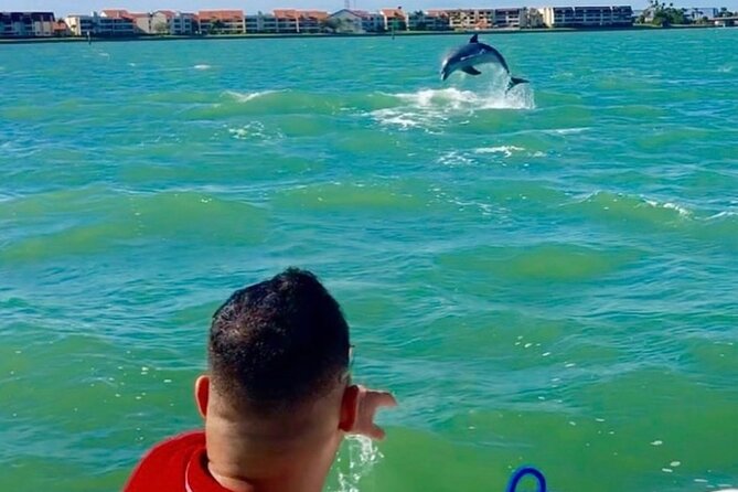 Private Dolphin & Architecture Tour in St. Petersburg, Fl - Architectural Highlights