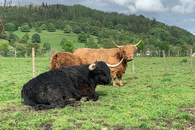 Private Driving Tour to Stirling Review - Exploring Stirling